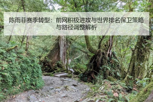 chen-yu-fei-sai-ji-zhuan-xing-qian-wang-ji-ji-jin-gong-yu-shi-jie-pai-ming-bao-wei-ce-lve-yu-lu-jing-tiao-zheng-jie-xi-2-102.jpg